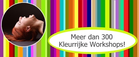 Leuke workshop DeWorkshopgids.nl
