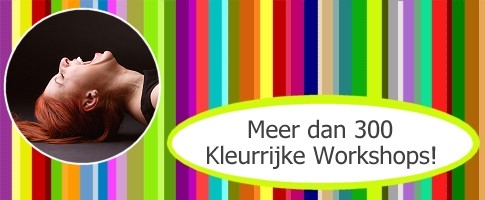 Ludiek DeWorkshopgids.nl